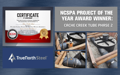TrueNorth Steel Honored with Project of the Year Award